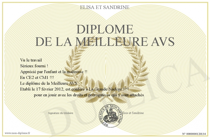 diplome avs